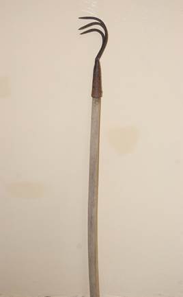 Dz III_37